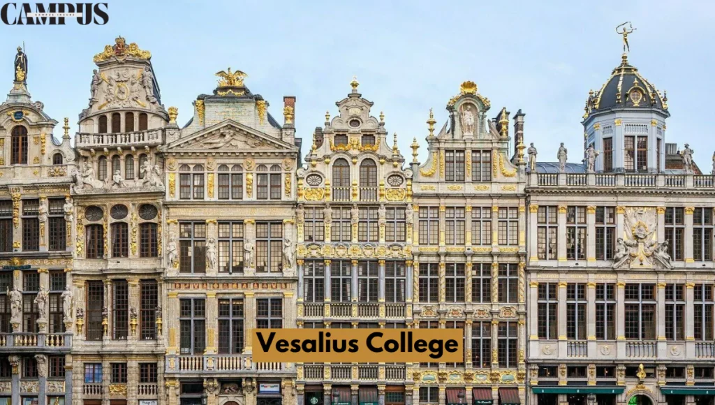  Vesalius College