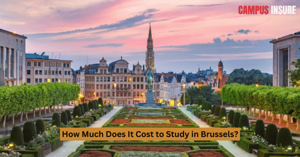 How Much Does It Cost to Study in Brussels?